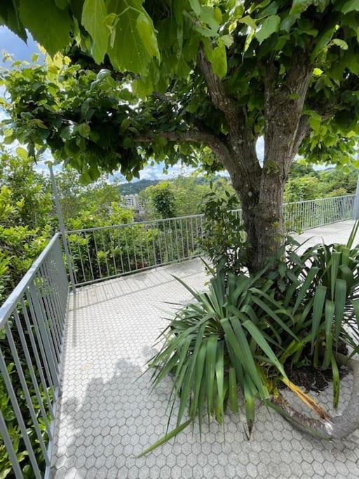 Paisible Eden Standing Terrasse - Magnifique Vue - Esprit Nature En Pleine Ville Tulle Ngoại thất bức ảnh