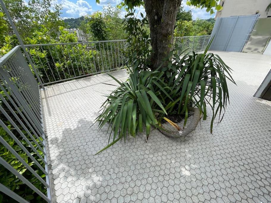Paisible Eden Standing Terrasse - Magnifique Vue - Esprit Nature En Pleine Ville Tulle Ngoại thất bức ảnh