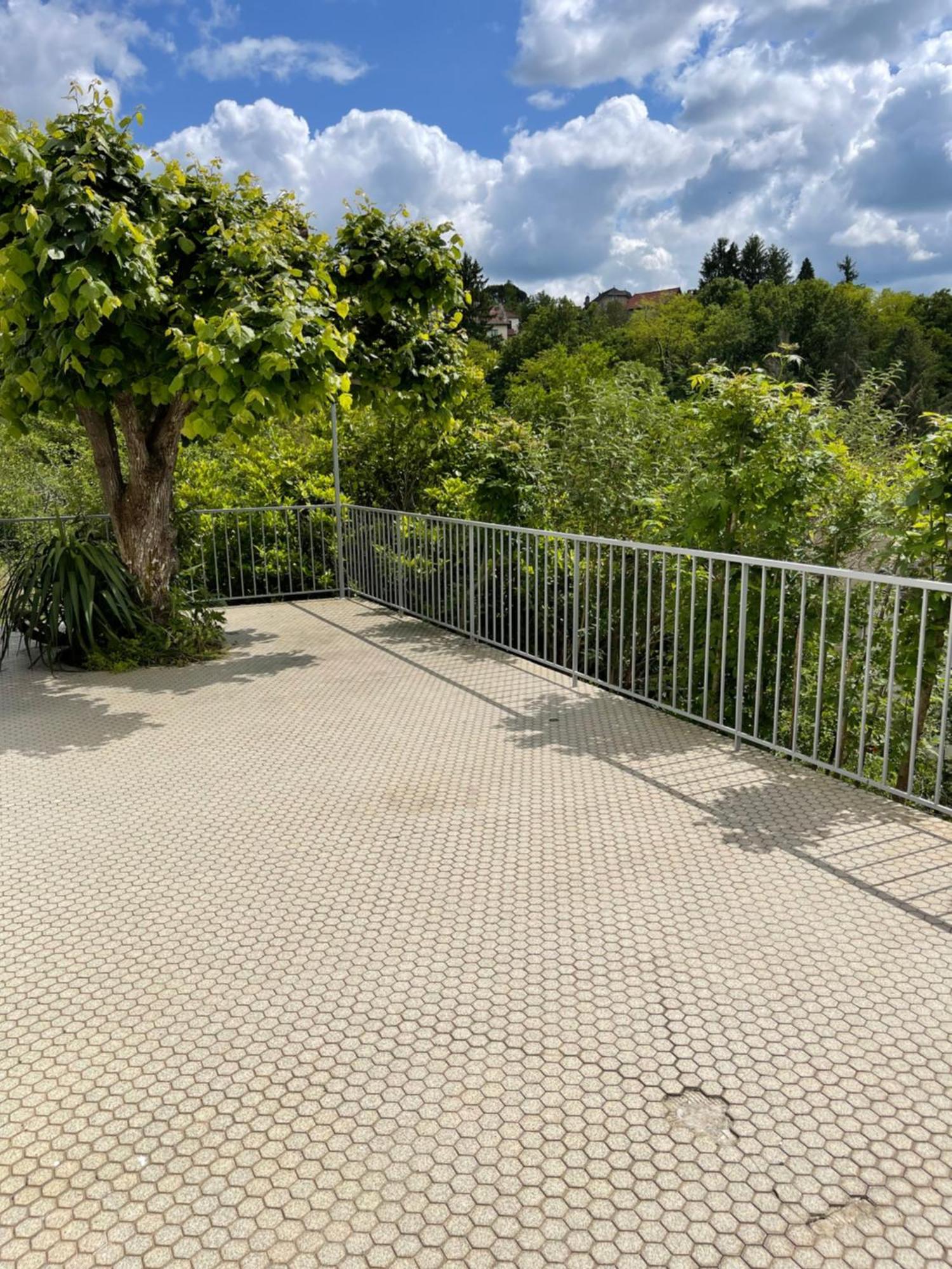 Paisible Eden Standing Terrasse - Magnifique Vue - Esprit Nature En Pleine Ville Tulle Ngoại thất bức ảnh
